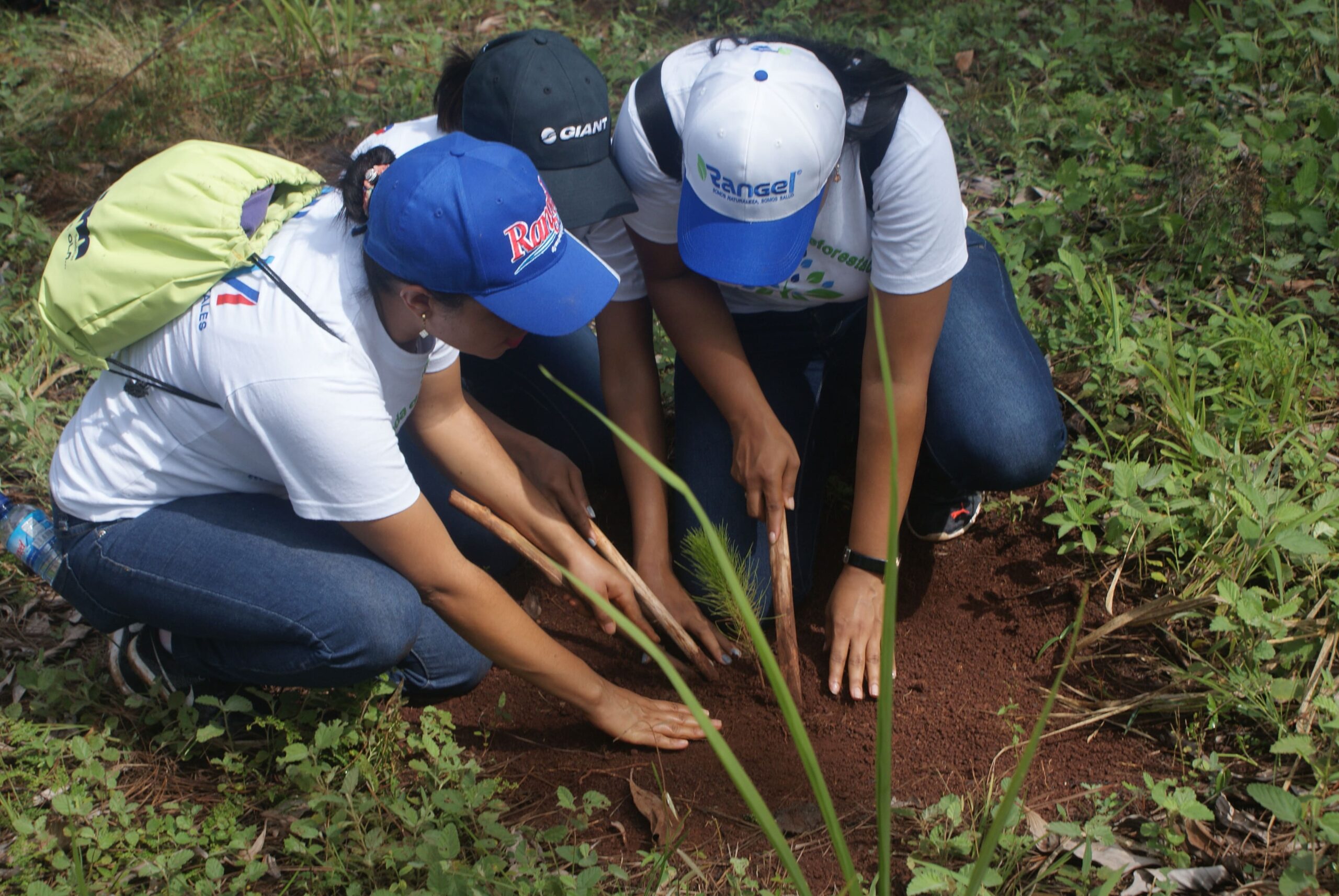 Jornada de Reforestación, 2018