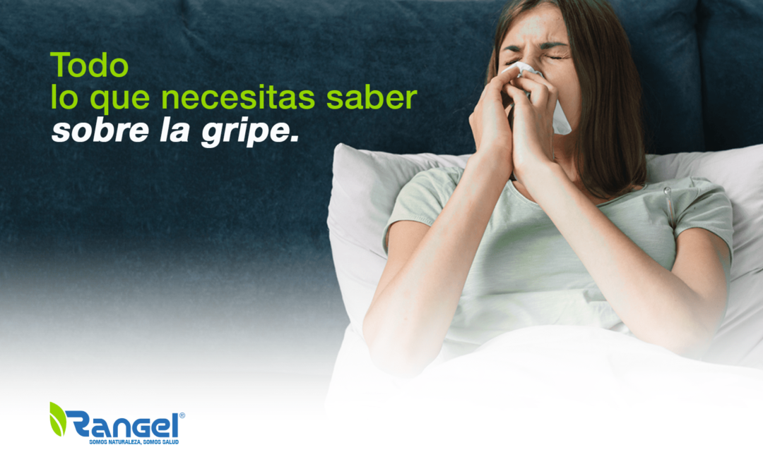 Todo lo que necesitas saber sobre la gripe