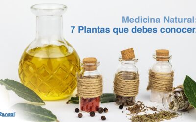 Medicina Natural: 7 Plantas que debes conocer.