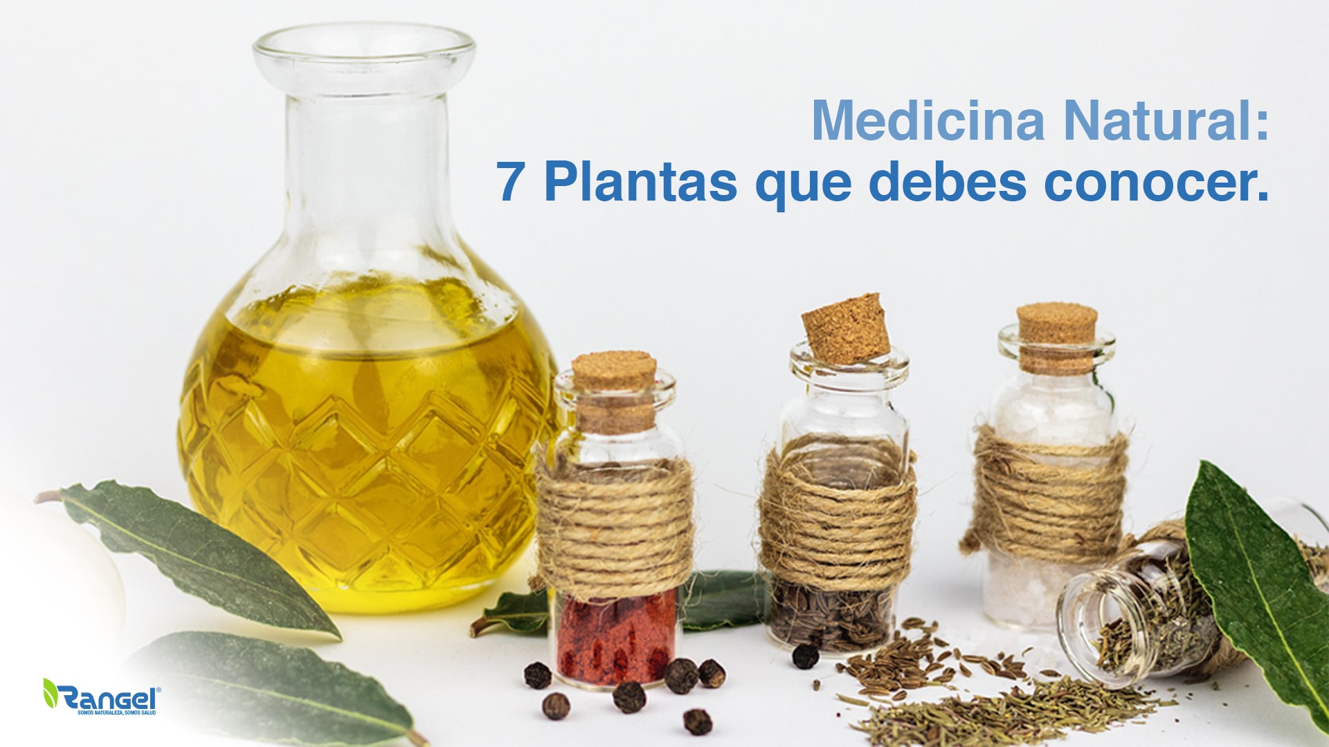 Medicina Natural: 7 plantas que debes conocer