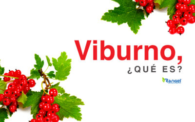 ﻿VIBURNO