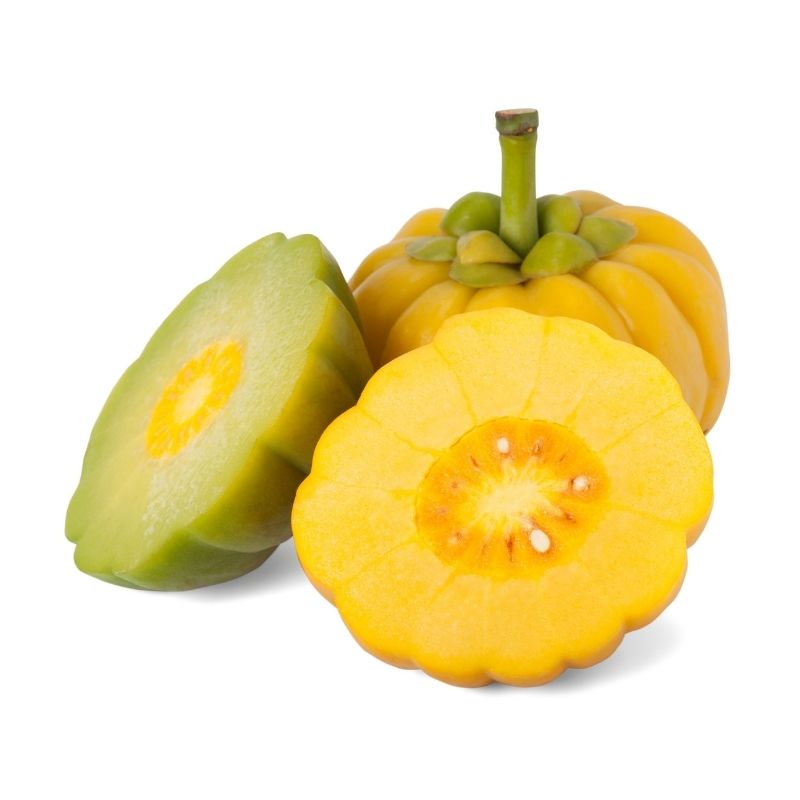 Garcinia Cambogia