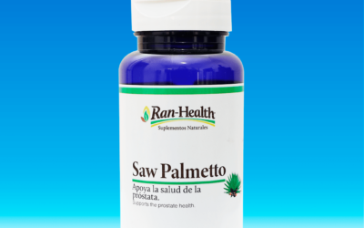 Saw Palmetto